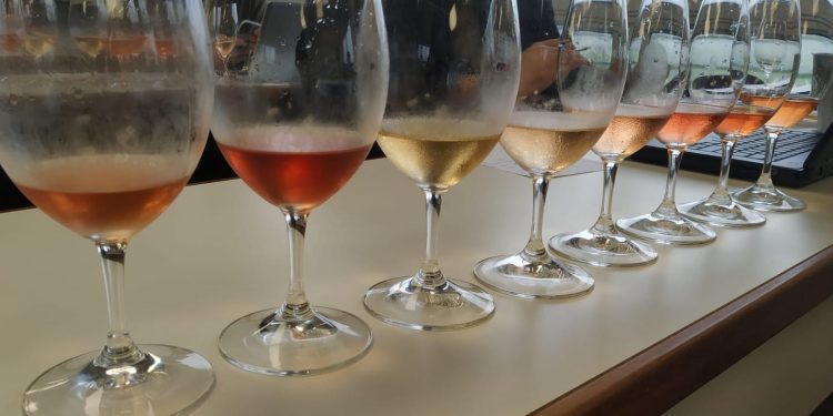 Primera Cata de Vinos Nacionales “Por la Vida” en Punta del Este