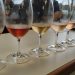 Primera Cata de Vinos Nacionales “Por la Vida” en Punta del Este