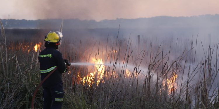 Bomberos refuerza la prevención ante una temporada de alto riesgo por incendios forestales