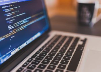 Windows o Linux, laptop o PC: lo que realmente usan los programadores