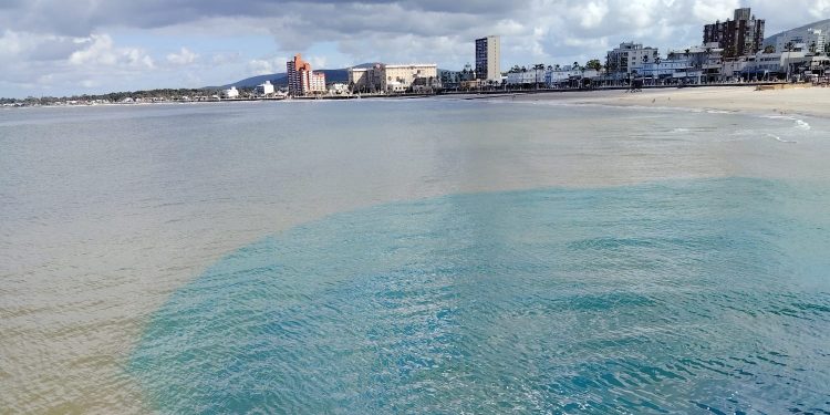 IDM informó a Ambiente sobre vertido colorante en playa de Piriápolis