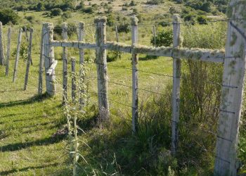 Dos hombres con antecedentes penales fueron detenidos con armas y otros elementos en un establecimiento rural