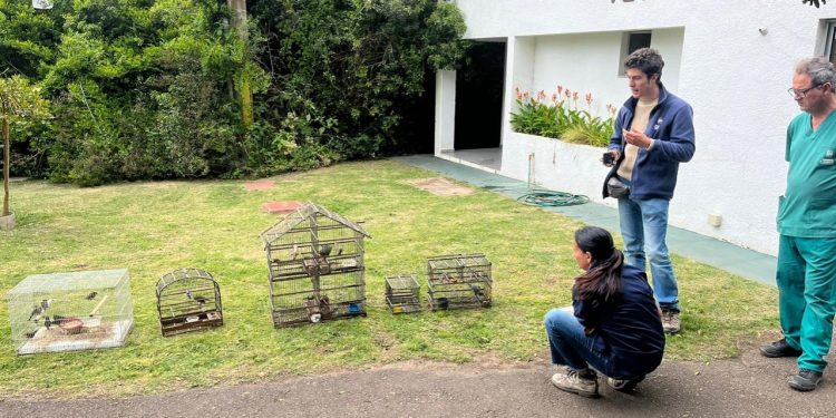 Liberaron las aves incautadas en Minas tras proceso de recuperación en la ECFA