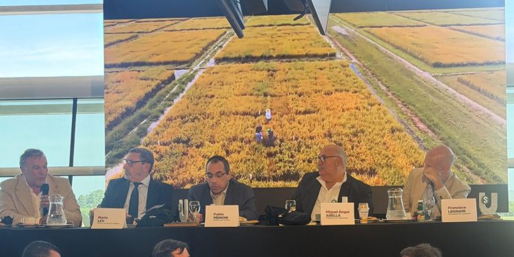 Abella presentó el plan de temporada con foco en servicios, limpieza y tecnología