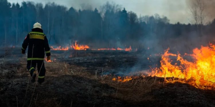Más del 90% de los incendios son provocados por el accionar humano; presentaron campaña
