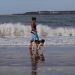 Mascotas en la playa: Preocupación ante la temporada