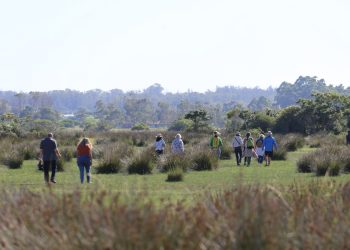 Maldonado contará con una nutrida agenda con motivo de la Semana de los Humedales