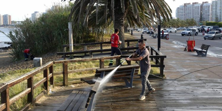 Punta del Este amaneció limpio luego de recibir el año; se levantó un 10% más de residuos que 2025