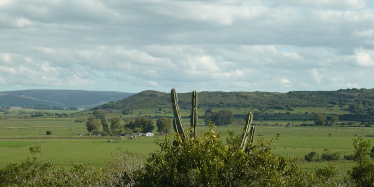 Investigan la muerte de una pareja de adultos mayores en zona de Las Cañas