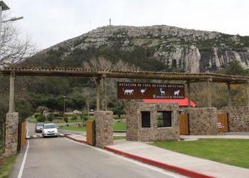 Gran Premio del Uruguay “19 Capitales” Histórico hará escala en Maldonado y Punta del Este