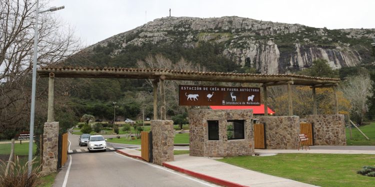 Gran Premio del Uruguay “19 Capitales” Histórico hará escala en Maldonado y Punta del Este