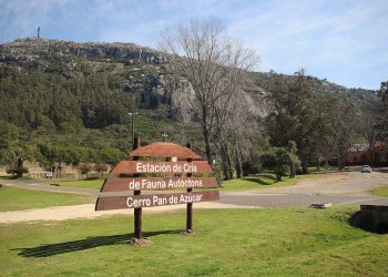 Estación de Cría del Cerro Pan de Azúcar abierta en semana de turismo