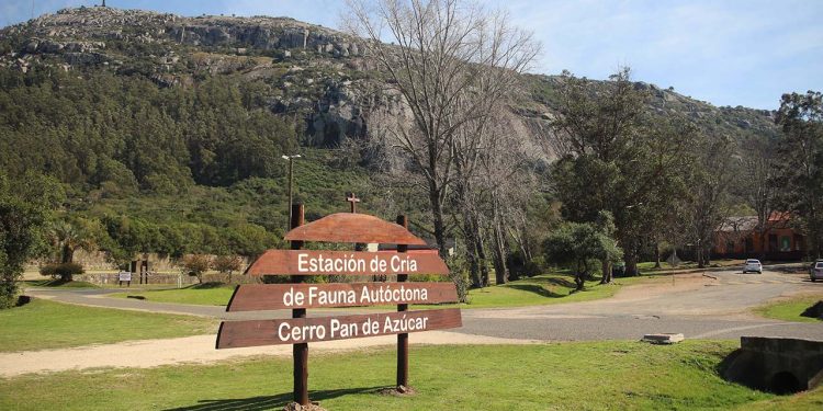 Estación de Cría del Cerro Pan de Azúcar abierta en semana de turismo