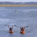 Decenas de personas participaron de la travesía en kayak en el Arroyo Maldonado