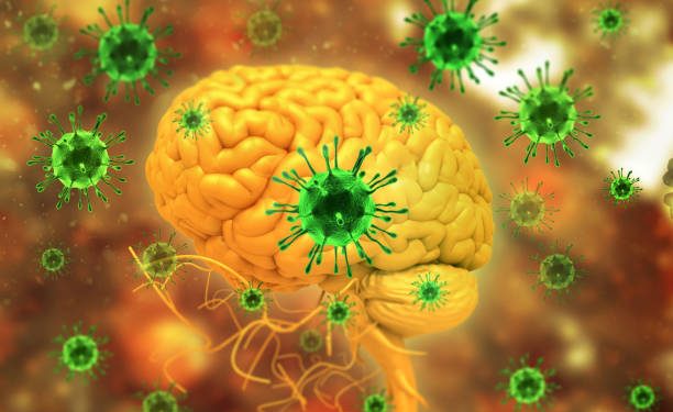 Muerte de una niña en Uruguay y brote en Reino Unido reavivan alerta por meningitis