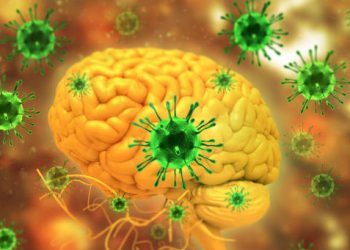 Muerte de una niña en Uruguay y brote en Reino Unido reavivan alerta por meningitis