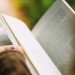 Día Internacional de la Poesía se celebrará en Maldonado con lecturas y música