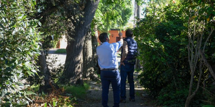 Intervención en barrio Rivera: relevan veredas y proyectan mejoras integrales en infraestructura