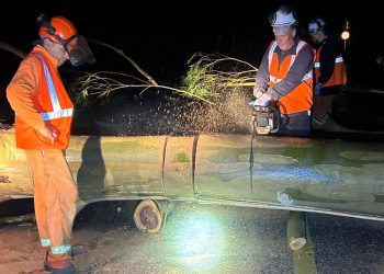 Árboles caídos, tendidos eléctricos afectado con picos de 200 mil clientes sin luz, desprendimiento de cartelería, evaluación primaria de CECOED