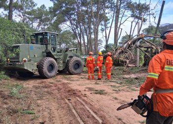 Más de 100 intervenciones realizó CECOED hasta las primeras horas de la tarde