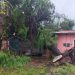Temporal en Maldonado: árbol cae sobre vivienda y deja importantes daños