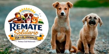 Este Domingo Remate online para ayudar a animales rescatados en Maldonado
