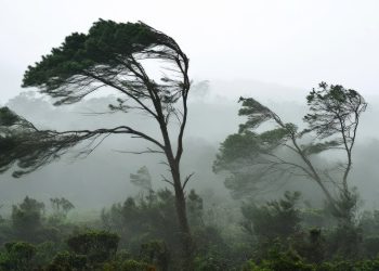 Maldonado bajo advertencia amarilla por vientos fuertes en la franja costera
