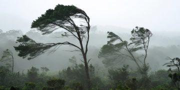 Maldonado bajo advertencia amarilla por vientos fuertes en la franja costera