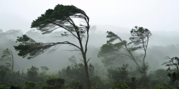 Maldonado bajo advertencia amarilla por vientos fuertes en la franja costera