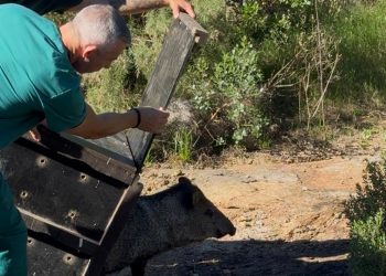 Comenzó el traslado de animales del Parque Medina hacia nuevas instalaciones