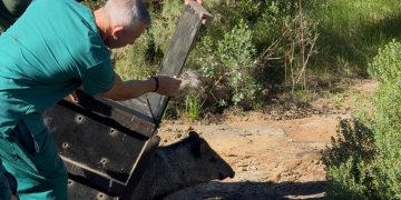 Comenzó el traslado de animales del Parque Medina hacia nuevas instalaciones
