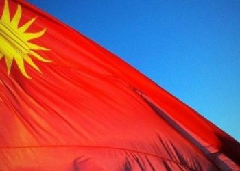 Partido Colorado plantea “profunda preocupación” por cese de Curbelo en Hemocentro y pide revertir “grave injusticia”