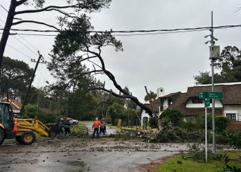 CECOED recuerda teléfonos de emergencia y pide extremar precauciones en Maldonado