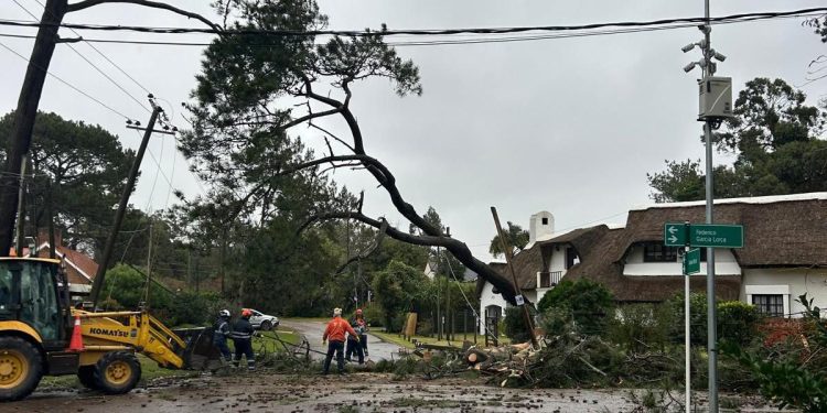 CECOED recuerda teléfonos de emergencia y pide extremar precauciones en Maldonado