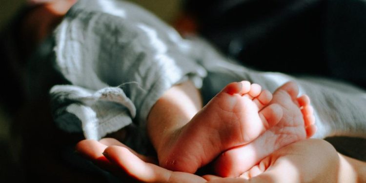 Rodrigo Blás plantea que el Estado adopte medidas para fomentar la natalidad porque “Uruguay se está quedando sin hijos”