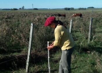 Hoy se conmemora el Día del trabajador rural