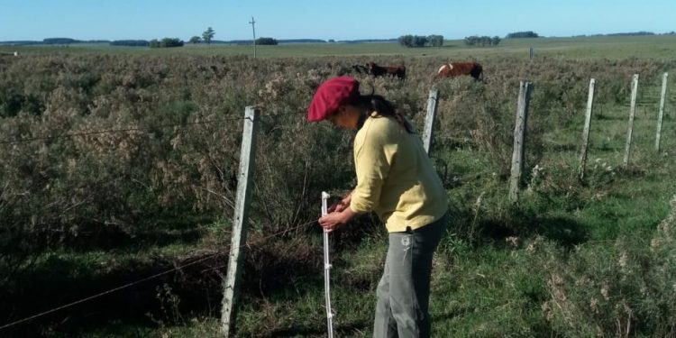 Hoy se conmemora el Día del Trabajador Rural