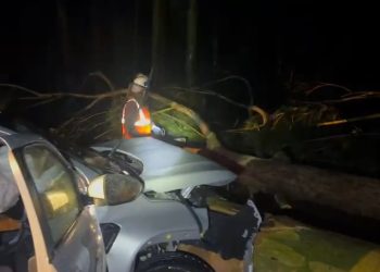 Temporal dejó destrozos, vehículos aplastados y barrios afectados