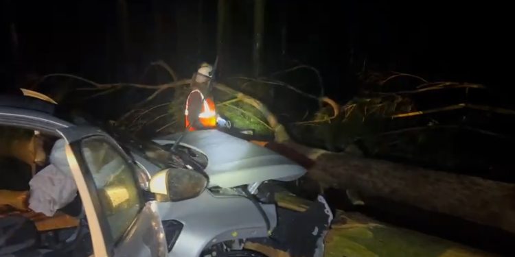 Temporal dejó destrozos, vehículos aplastados y barrios afectados