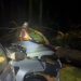 Temporal dejó destrozos, vehículos aplastados y barrios afectados