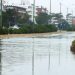 Intendente de Maldonado explicó que resolver inundaciones en la rambla está en carpeta hace 30 años