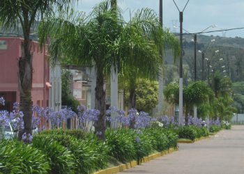 Reclamo por Aiguá: Edil Omar Messano exigió mayor presencia de los entes estatales, en pleno aniversario de la ciudad