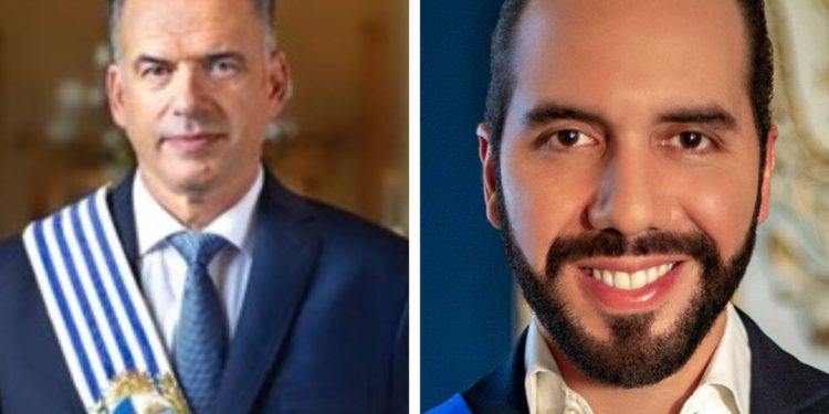 Orsi advierte que la mitad de los votantes del FA simpatiza con Bukele: «Una encuesta dio eso, es tremendo”