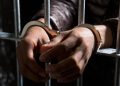 Condenaron a un hombre que le robó el celular a una menor en una parada de ómnibus de Maldonado