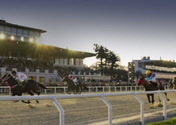 Actividad hípica: difunden cifras de importaciones, exportaciones y destinos de caballos