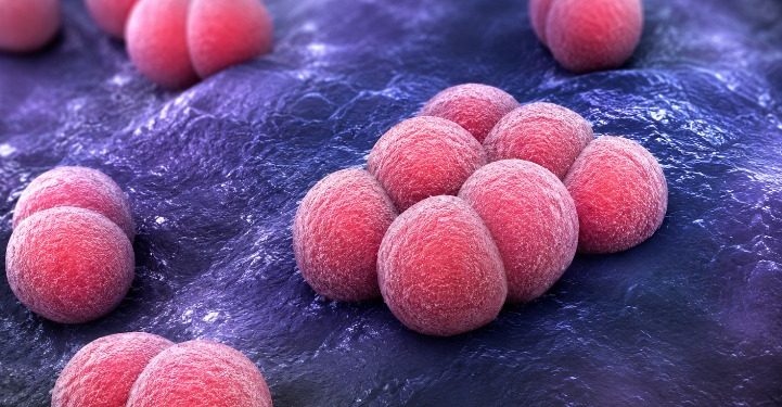 Muerte de una bebé por púrpura fulminante reactiva alarma sobre síntomas y medidas de prevención