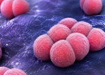 Muerte de una bebé por púrpura fulminante reactiva alarma sobre síntomas y medidas de prevención