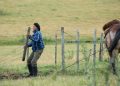 Vacuna uruguaya contra la garrapata abre una nueva etapa de investigación y trabajo conjunto en el campo