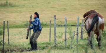 Vacuna uruguaya contra la garrapata abre una nueva etapa de investigación y trabajo conjunto en el campo