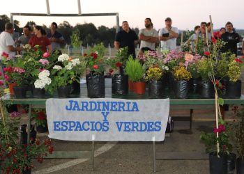 Más de 60 cursos gratuitos estarán disponibles este año en Maldonado